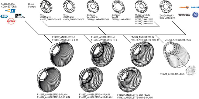 angelette compatibility drawing