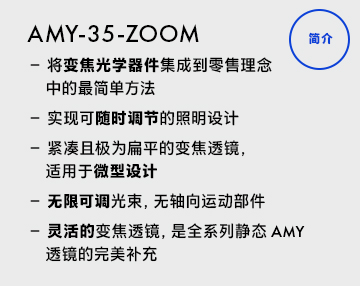 AMY-35-ZOOM_In-nutshell_ch