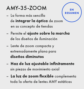 AMY-35-ZOOM_In-nutshell_es