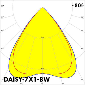 DAISY-7X1-BW_polar