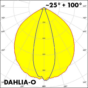 Polar_DAHLIA-O