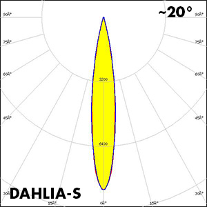 Polar_DAHLIA-S