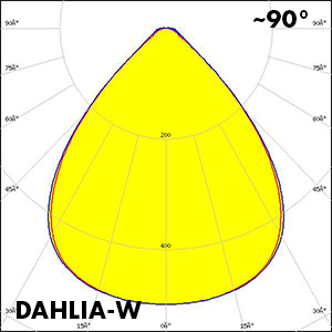 Polar_DAHLIA-W