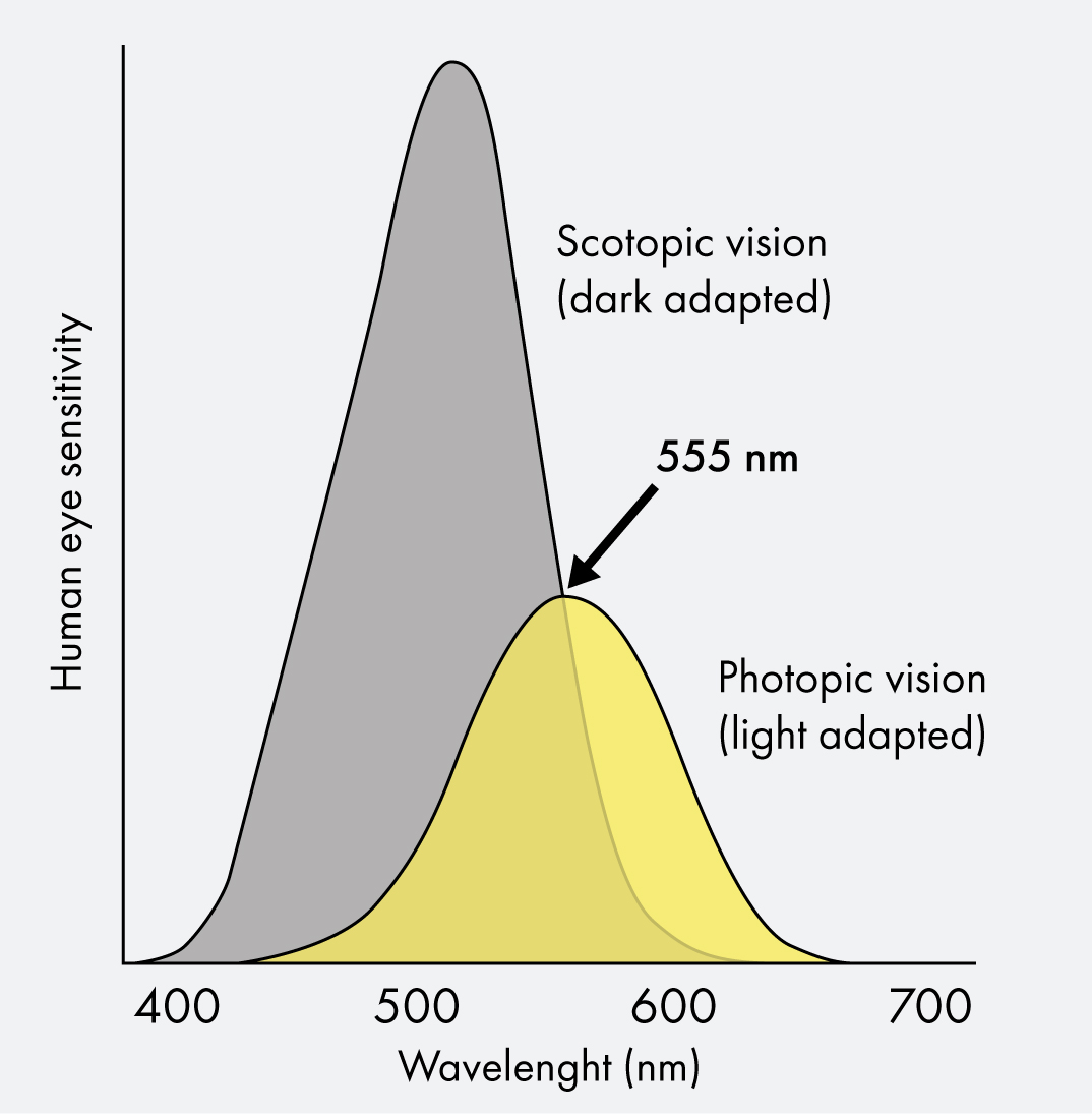 Human eye sensitivity 2@3x-100