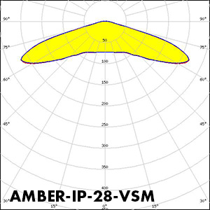 AMBER-IP-28-VSM_Polar